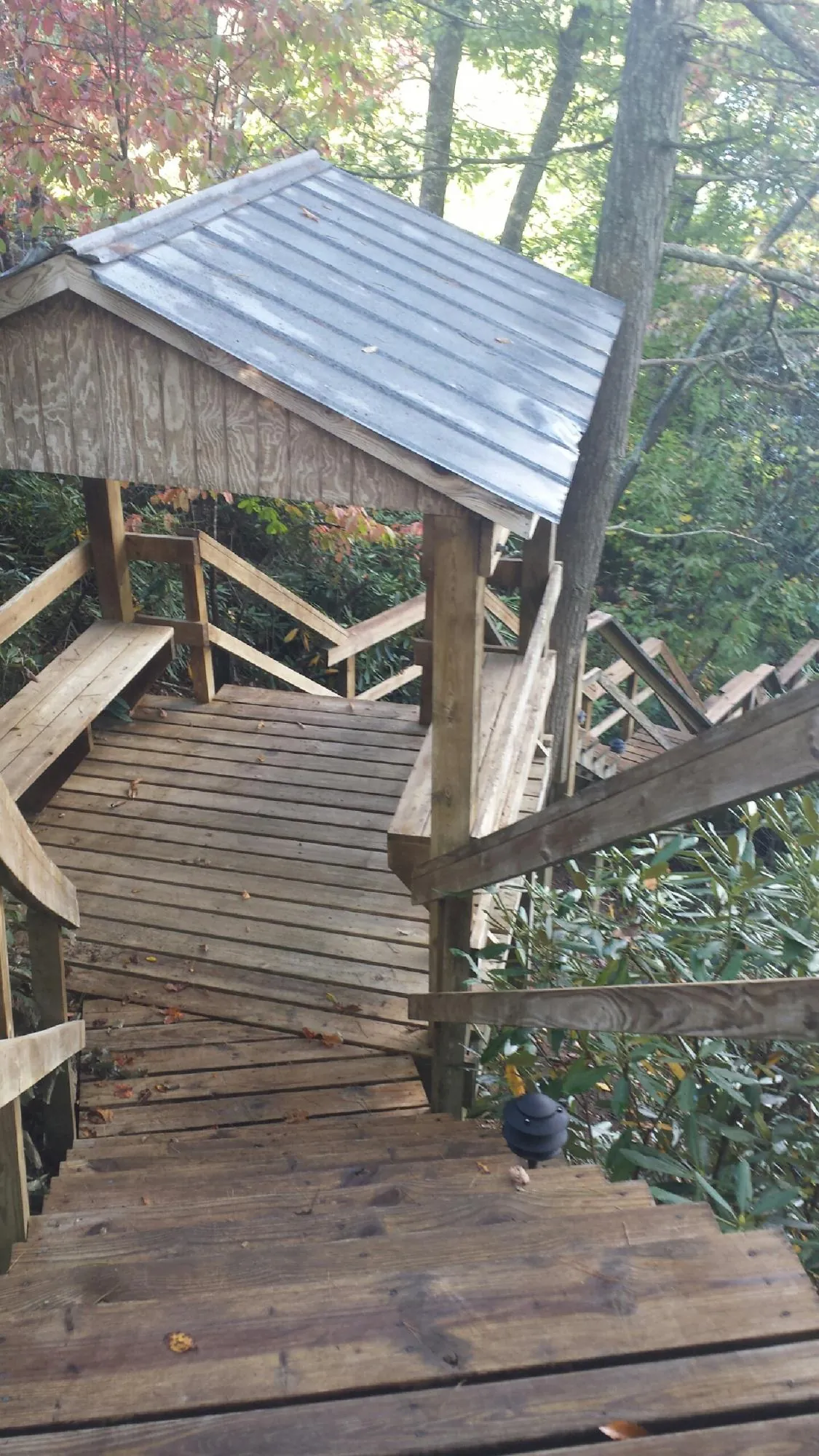 Metal roofed shelter over wooden steps on a wooded walkway — Skylight Repair & Installation work by our crew in Davis